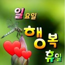 에이스환경 이미지