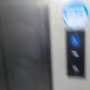 대원로-2 이미지