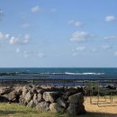 고요한 시선 이미지