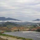 생명의 소리 이미지