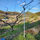 세동농장 이미지