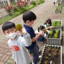 교동초병설유치원 이미지