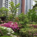 호반써밋1차 작은도서관 이미지