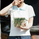 뜨락화원