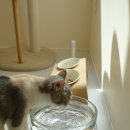 오뗄뒤샤 이미지