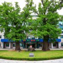 한국목재사업협동조합 이미지