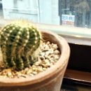 희드라세탁소 이미지