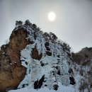 윤실네진부령황태 이미지