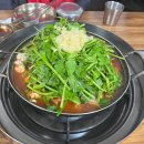 속풀이생태탕 | 부산갈매기 생태탕 솔직 리뷰 중구 생태