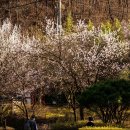 퇴미2공원1 이미지