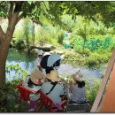 전곡-29 Daum카페