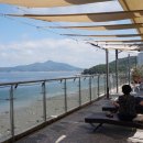 카페마르베야(Cafe Marbella) Daum카페