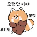 아쿠아숲속초