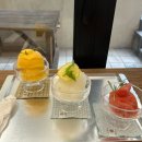 연남동 디저트 맛집 | 🍧 홍대 젤라또 맛집 앳더모먼트 후기 (망고, 애플민트레몬, 수박)