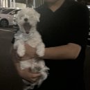 삐삐애견샵 | 8. 여름방학