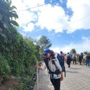 빵터지는 생활영어(강좌번호 8) | 과테말라 안티구아 : 아카테낭고 화산 트레킹 투어, 후기 (ft. 새해맞이 화산)