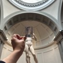 더자자(THE ZAZA) | 미술관(Accademia Galleria) 다비드상 / 트라토리아 자자(Tratoria ZaZa) 티본 스테이크 / 폼피 티라미수
