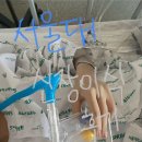 신장과일 | 서울대병원 신장이식 수술후기 (D+1~)