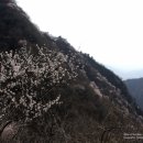 료코우 - 서구 탄방로 26 | 료코우