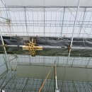 대평낚시터 이미지