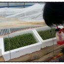 참들농장 이미지