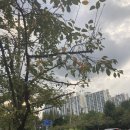 바스타커피부산대북문점