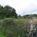 치성농장 이미지