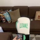 여자용 복싱 글러브 (이태리 브랜드 LEONE) 이미지