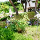 부안동초교 이미지