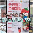 신대농장 네이버블로그