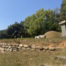 오명항 선생 묘 | 용인 채제공 선생 묘 및 어제뇌문비