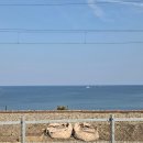 평릉1길 | 동해맛집 평릉한우설렁탕, 동해 하평해변과 기찻길