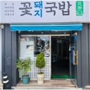 언제나꽃돼지 | 부산돼지국밥맛집"꽃돼지국밥"저의 원픽 국밥이예요