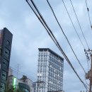 왕대박공인중개사사무소 이미지