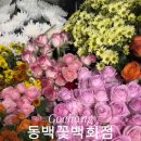 동백꽃백화점 이미지