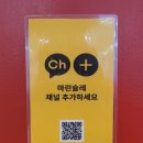 마린슐레 이미지