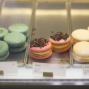 엠엔엠(mnm) 이미지