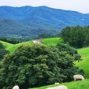 선인목장 이미지