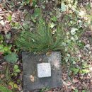 당리고개 이미지