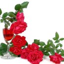 다섯손가락 이미지