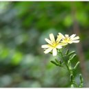 심곡리 마을회관 이미지