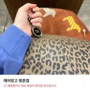 헤어망고평촌점 이미지