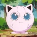 푸린이네 이미지