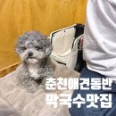 춘천별당 | 춘천애견동반 막국수 맛집, 룸에서 편하게 먹는 춘천별당막국수 내돈내산