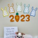 비비앤독 이미지