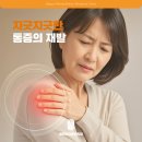체외충격파 치료 추천! 대구 수성구 재활의학과에서 무릎·어깨 통증 해결하기