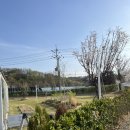 양진로 | 남양주 드라이브 카페 추천 모모다인 오픈하우스ㅣ분위기 좋은 통창 감성 카페 후기