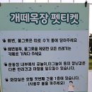 기정목장 이미지