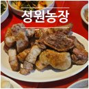 성원셀프주유소 | [고촌역] 김포 또간집 1위 진짜 숯불 삼겹살 맛집 성원농장
