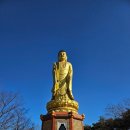 만불사 | 새해맞이 만개의 불상이 있다는 [영천 만불사] 방문 +)공양간 운영시간